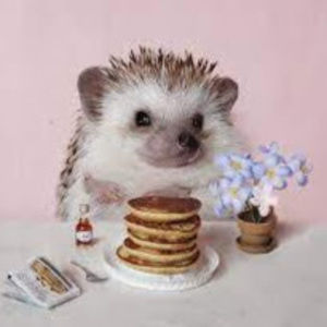 Meet your Posher, Matilda